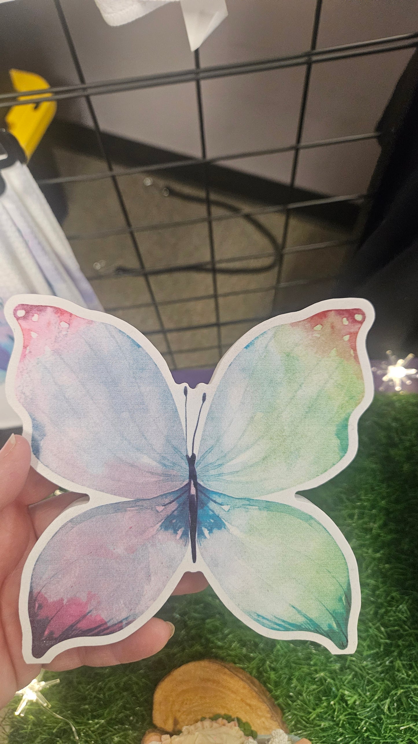 Single big butterfly