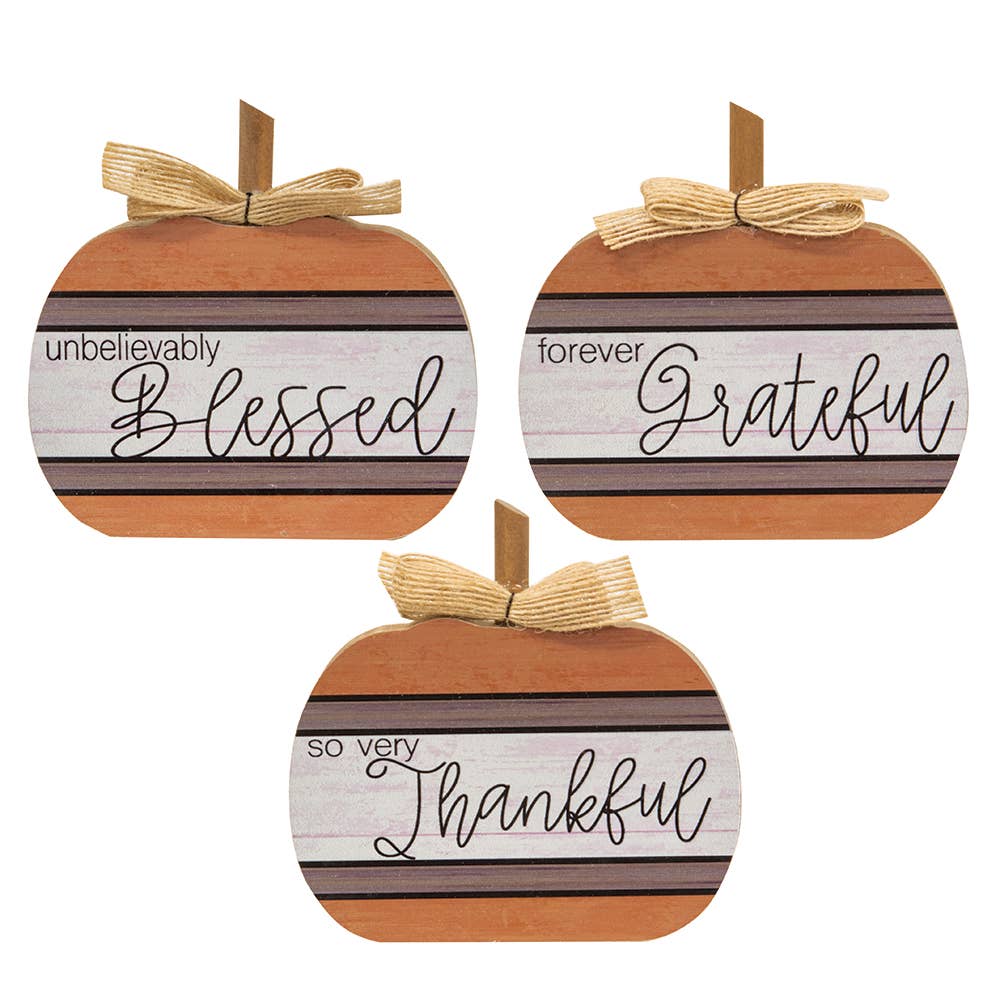 Autumn Blessings Chunky Pumpkin, 3 Assorted