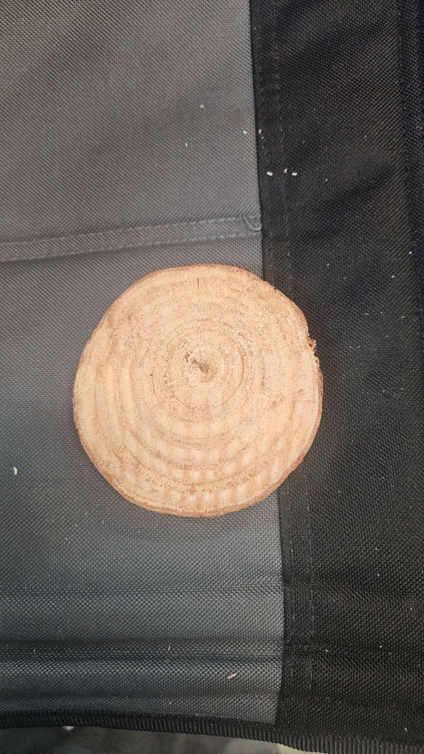 Wood dics